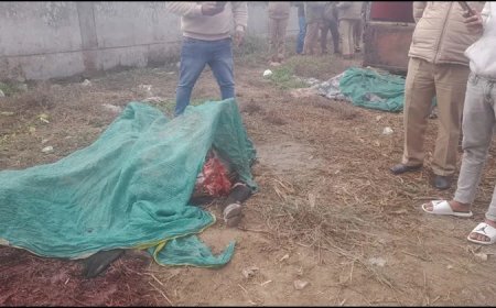 देहरादून और आसपास के क्षेत्रों में रुक नहीं रही गौ हत्या, अब हरबंस वाला क्षेत्र में गौ कटान, हिन्दू संगठनों में आक्रोश