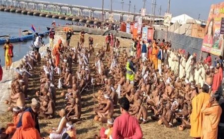 निरंजनी अखाड़े की छावनी मे 18 मढ़ी के 325 नागा साधुओं ने ली सन्यास की दिक्षा