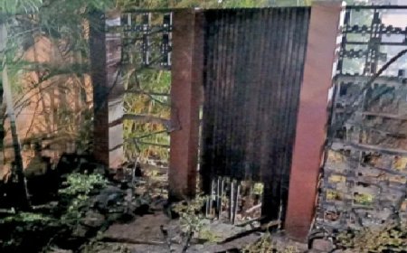 आतंक का ताप, जलता पंजाब