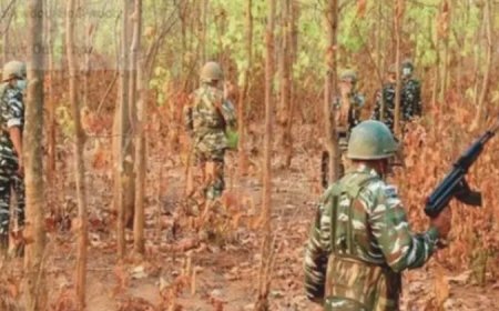 छत्तीसगढ़ में पिछले 13 महीनों में नक्सलियों से दस बड़ी मुठभेड़ हुईं, शीर्ष कैडर्स सहित 240 नक्सली मारे गए