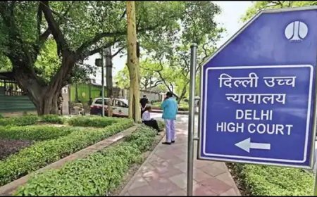 दिल्ली सरकार से जुड़ी CAG रिपोर्ट जारी करने पर फैसला देगा हाई कोर्ट, कहा था-AAP की नीयत पर शक, शराब नीति का है जिक्र