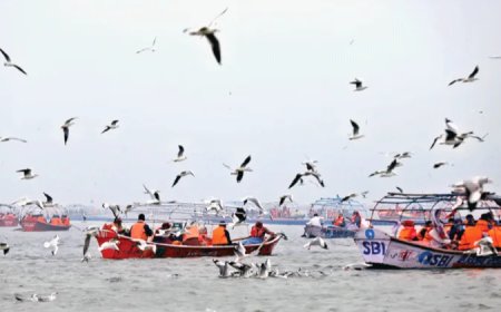 आर्थिक क्रांति का माध्यम