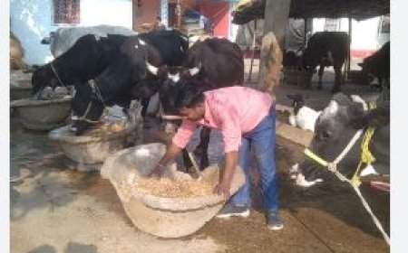 लालदेव सिंह की संघर्षपूर्ण सफलता की कहानी: दूध के कारोबार से बदली जिंदगी