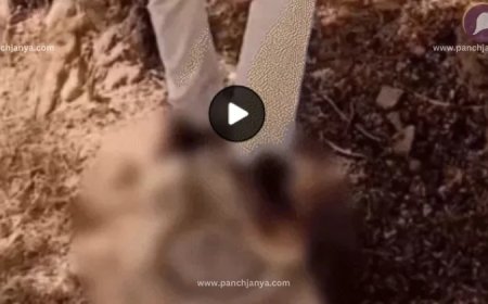 मोहम्मद इमरान ने किया महादेव का अपमान : जेल से छूटकर शिवलिंग पर जूते पहनकर रखा पैर, वीडियो सोशल मीडिया पर वायरल