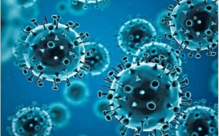 मानव मेटाप्न्यूमोवायरस (HMPV) एक श्वसन वायरस है