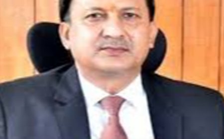 हिमाचल के शक्तिपीठों में एस्केलेटर-लिफ्ट लगाने की मांग:राज्यसभा में बोले सांसद सिकंदर- बुजुर्गों के लिए लगाना जरूरी, श्रद्धालुओं को सीढ़ियां चढ़नी पड़ती हैं