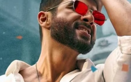 बॉक्स ऑफिस पर कारगर साबित नहीं हुई देवा:4 दिनों में 21 करोड़ ही कमा सकी शाहिद कपूर की फिल्म, स्काई फोर्स की कमाई में भी आई गिरावट