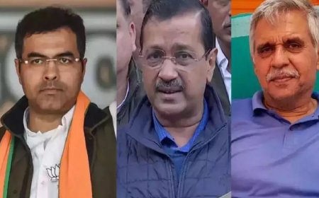 कौन सा जादुई आंकड़ा पार करते ही बन जाएगी उस पार्टी की सरकार? जानिए CM बनने के लिए 'नई दिल्ली' सीट का कनेक्शन