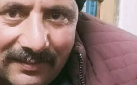 शिमला में 300 मीटर गहरी खाई में गिरी कार:एक ही गांव के दो लोगों की मौत; घर जाते वक्त हुआ हादसा