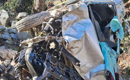 चंबा में अनियंत्रित कार खाई में गिरी:ड्राइवर समेत दो की मौत, झाड़ियों में पड़ी मिली महिला घायल