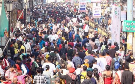 महाकुंभ पलट प्रवाह पार्ट 2 : सात दिन में 35 लाख लोग आए काशी, एक घाट से एक मिनट में गुजरीं 30 नावें