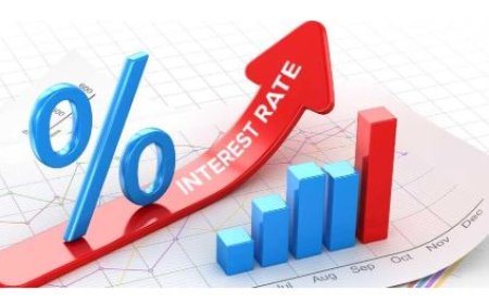 रेपो दर में कमी के साथ ही भारत में ब्याज दरों के नीचे जाने का चक्र प्रारम्भ