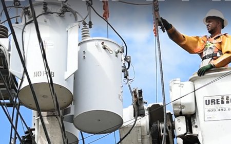 सरकारी नौकरी:पंजाब स्टेट पावर कॉर्पोरेशन में 2500 पदों पर भर्ती का नोटिस जारी; एज लिमिट 37 साल, 10वीं पास करें अप्लाई