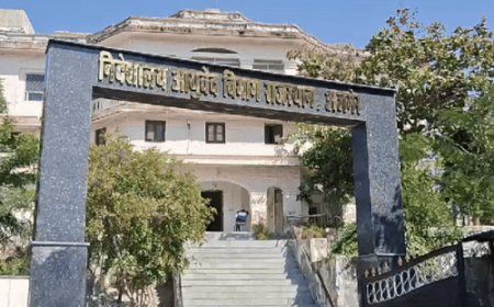 आयुर्वेद विभाग 17 से 20 तक करेगा डॉक्युमेंट्स वेरिफिकेशन:1506 कैंडिडेट्स को जोधपुर बुलाया; 740 पदों पर 7186 ने किए थे आवेदन