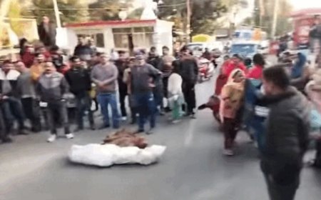 कांगड़ा में जंगल में मिली डिलीवरी बॉय की लाश:26 दिन से लापता; परिजन बोले-अपहरण कर हत्या की, घर के पास मिली थी बाइक