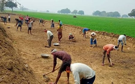 मनरेगा में फर्जीवाड़ा: बरेली में मुस्लिम युवकों के जॉब कार्ड में जोड़ा हिंदुओं का नाम, प्रधान के अधिकार सीज