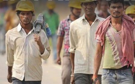 सरकारी नौकरी:पटना हाईकोर्ट में ग्रुप सी के 171 पदों पर भर्ती; 8वीं से लेकर 12वीं पास को मौका, सैलरी 40 हजार से ज्यादा