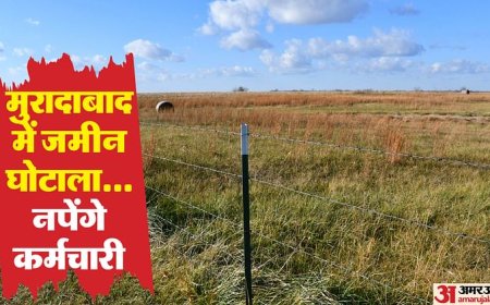 UP: भूमाफिया ने हड़पी चार गांवों की 230 एकड़ जमीन, कागजों में हेरफेर कर अरबों की सरकारी संपत्ति पर किया कब्जा