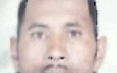 शिमला में युवक की हत्या:शराब पीने के दौरान हुआ विवाद, झाड़ियों में मिला शव; दरवाजे पर खून के निशान