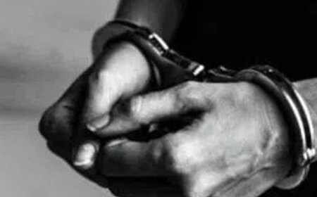 शिमला में चिट्टा तस्कर महिला एडवोकेट गिरफ्तार:25 और महिलाएं निशाने पर, शाह गैंग से जुड़ा नेटवर्क; अब तक 36 सदस्य पकड़ चुके