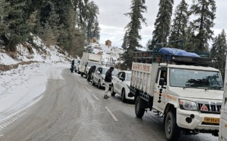 हिमाचल के नारकंडा में बर्फबारी से नेशनल हाईवे बंद:रोडवेज की तीन बसें फंसी, ट्रैफिक रुट बदला, सड़कों पर बढ़ी फिसलन