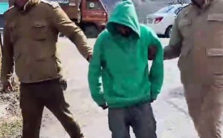 मनाली में चिट्टा और 7 लीटर अवैध शराब पकड़ी:गुप्त सूचना पर पुलिस की दुकान पर रेड, तीन लोग गिरफ्तार