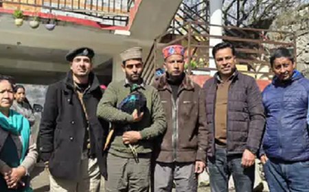 मनाली में घायल मिला हिमालयी मोनाल:वन्यजीव विभाग ने किया रेस्क्यू; अब खतरे से बाहर, उत्तराखंड का राज्य पक्षी