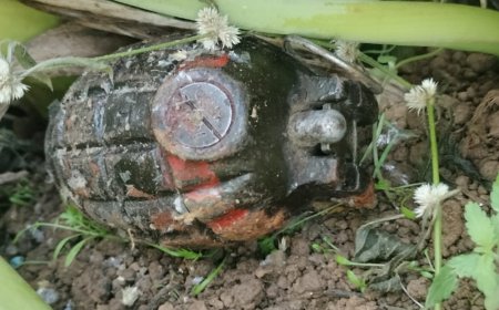 कांगड़ा में मिला जिंदा ग्रेनेड:सेना ने पठानकोट ले जाकर किया नष्ट, लोगों से की संदिग्ध वस्तु को न छूने की अपील