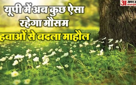 Weather : यूपी में 27 फरवरी से फिर बदलेगा मौसम, इन जिलों में बारिश का पूर्वानुमान, कल वाराणसी रहा सबसे गर्म