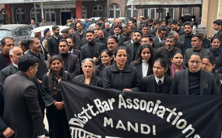 मंडी में एडवोकेट अमेंडमेंट बिल के खिलाफ प्रदर्शन:वकीलों ने कोर्ट के काम का बहिष्कार किया; कानून मंत्रालय से की रद्द करने की मांग