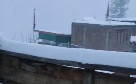 हिमाचल में ऊंचे पहाड़ों पर हैवी स्नोफॉल:निचले इलाकों में हो रही बारिश, कल और परसों भारी बर्फबारी का ऑरेंज अलर्ट