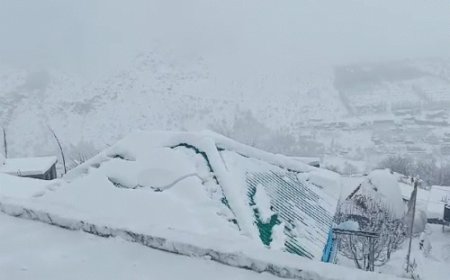 हिमाचल में भारी बर्फबारी, लाहौल-स्पीति का दुनिया से कटा संपर्क:एवलांच गिरने की चेतावनी, अन्य क्षेत्रों में हो रही बारिश; आज-कल ऑरेंज अलर्ट