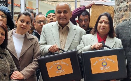 शिमला के मेयर ने 188 करोड़ का बजट पेश किया:बोले- 500 करोड़ से मल्टी पर्पज मॉल बनाएंगे, सभी कुत्तों को लगाई जाएगी माइक्रो चिप