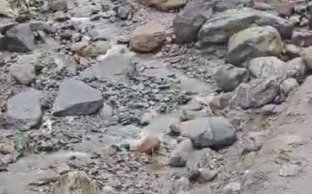 हिमाचल में भारी बारिश से कुल्लू में मंडराया संकट:जीरा नाला में लैंडस्लाइड से बना डैम, फटने पर हो सकती है तबाही, खाली कराए घर