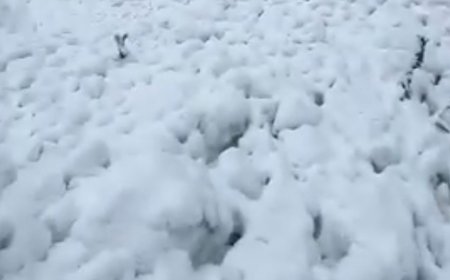 कुल्लू में एवलांच:लाहौल का मनाली से संपर्क कटा, सीमा सड़क संगठन रास्ता खोलने में लगा