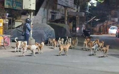 Hathras News: कुत्तों ने दो बच्चियों पर किया हमला,पड़ोसियों ने जैसे-तैसे बचाया, एक गंभीर