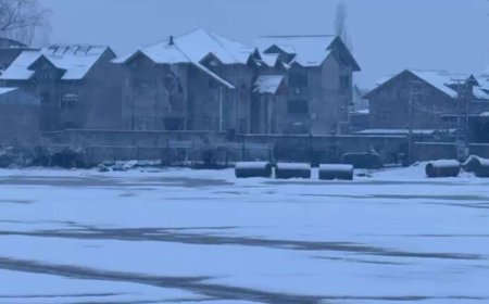 Pics: कश्मीर में बर्फबारी से घाटी की खूबसूरती में लगे चार चांद, धरती पर उतर आया 'स्वर्ग'