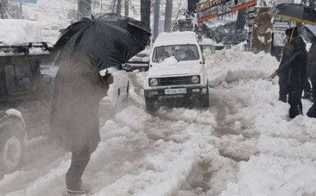 मनाली में 36 घंटे से बिजली गुल:बर्फबारी से टूटे देवदार के पेड़, गैस सप्लाई भी रुकी, दर्जनों गाड़ियां क्षतिग्रस्त