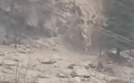 कांगड़ा में बादल फटने से 9 वाहन क्षतिग्रस्त:मुल्थान में 12 मकान खाली कराए, खन्यारा में 3 टिप्पर, 2 जेसीबी बही, पालमपुर में व्यक्ति लापता