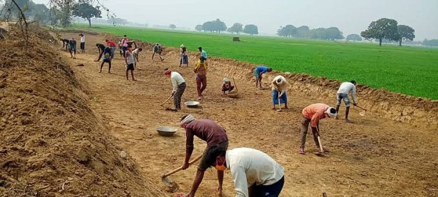 मनरेगा में फर्जीवाड़ा: बरेली में मुस्लिम युवकों के जॉब कार्ड में जोड़ा हिंदुओं का नाम, प्रधान के अधिकार सीज