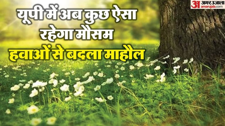 Weather : यूपी में 27 फरवरी से फिर बदलेगा मौसम, इन जिलों में बारिश का पूर्वानुमान, कल वाराणसी रहा सबसे गर्म