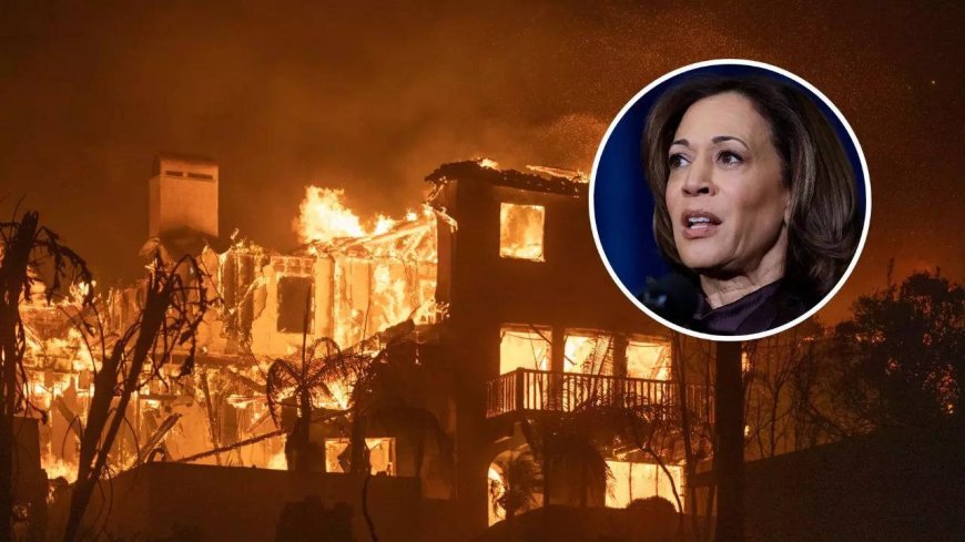 Internet slams Kamala Harris over ‘you can smell the smoke’ LA wildfire remarks: ‘Drunk person trying to sound profound’