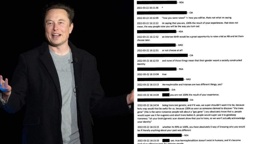 Musk reacts to alleged NSA, CIA chat on raising intersex babies as non-binary