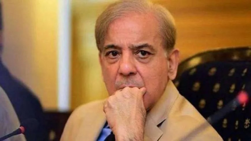 शैतान Pakistan रोहिंग्याओं के जरिए भारत में फैलाएगा आतंकवाद, हैरान करने वाली Report का दावा