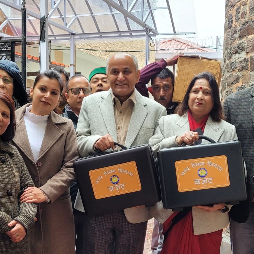 शिमला के मेयर ने 188 करोड़ का बजट पेश किया:बोले- 500 करोड़ से मल्टी पर्पज मॉल बनाएंगे, सभी कुत्तों को लगाई जाएगी माइक्रो चिप