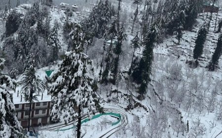 हिमाचल में 3 मार्च को फिर स्नोफॉल:आज कुछ राहत के आसार, भारी बारिश-बर्फबारी से 600 सड़कें, 2300 बिजली ट्रांसफॉर्मर बंद