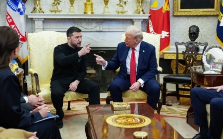 ट्रंप, वेंस और जेलेंस्की में जुबानी जंग, न बन सकी युद्ध रोकने पर बात, नहीं हो सका यूक्रेन से खनिज समझौता