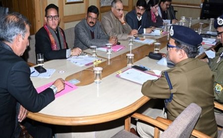 हिमाचल में नशा तस्कर कर्मचारी होंगे बर्खास्त:मीटिंग में CM ने दिए निर्देश; बोले- जो नशे को बढ़ावा देगा, उसके खिलाफ सख्त कार्रवाई करें