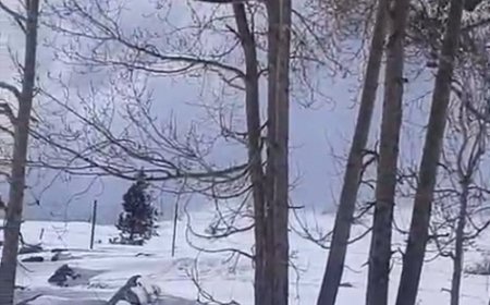 हिमाचल में बर्फीले तूफान से बाल-बाल बचे ITBP जवान, VIDEO:पहाड़ से टूटी बर्फ कैंप से 200 मीटर दूर तक पहुंची, जवानों ने भागकर जान बचाई