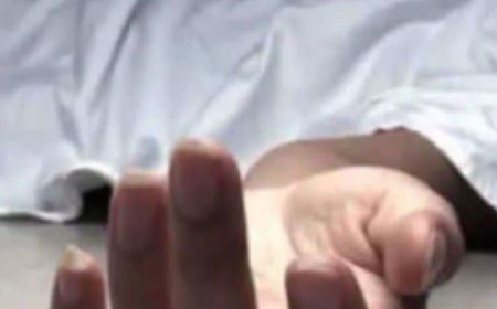 शिमला के पगोग नाले में मिला व्यक्ति का शव: पहचान अब तक अज्ञात, पुलिस ने जताई पानी में बहकर आने की आशंका